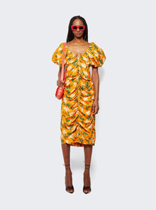 Women | Agua by Agua Bendita | Camelia Dress | Orange