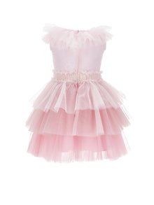 Girls | Tulle Dress With Gradient | Gradient Pink