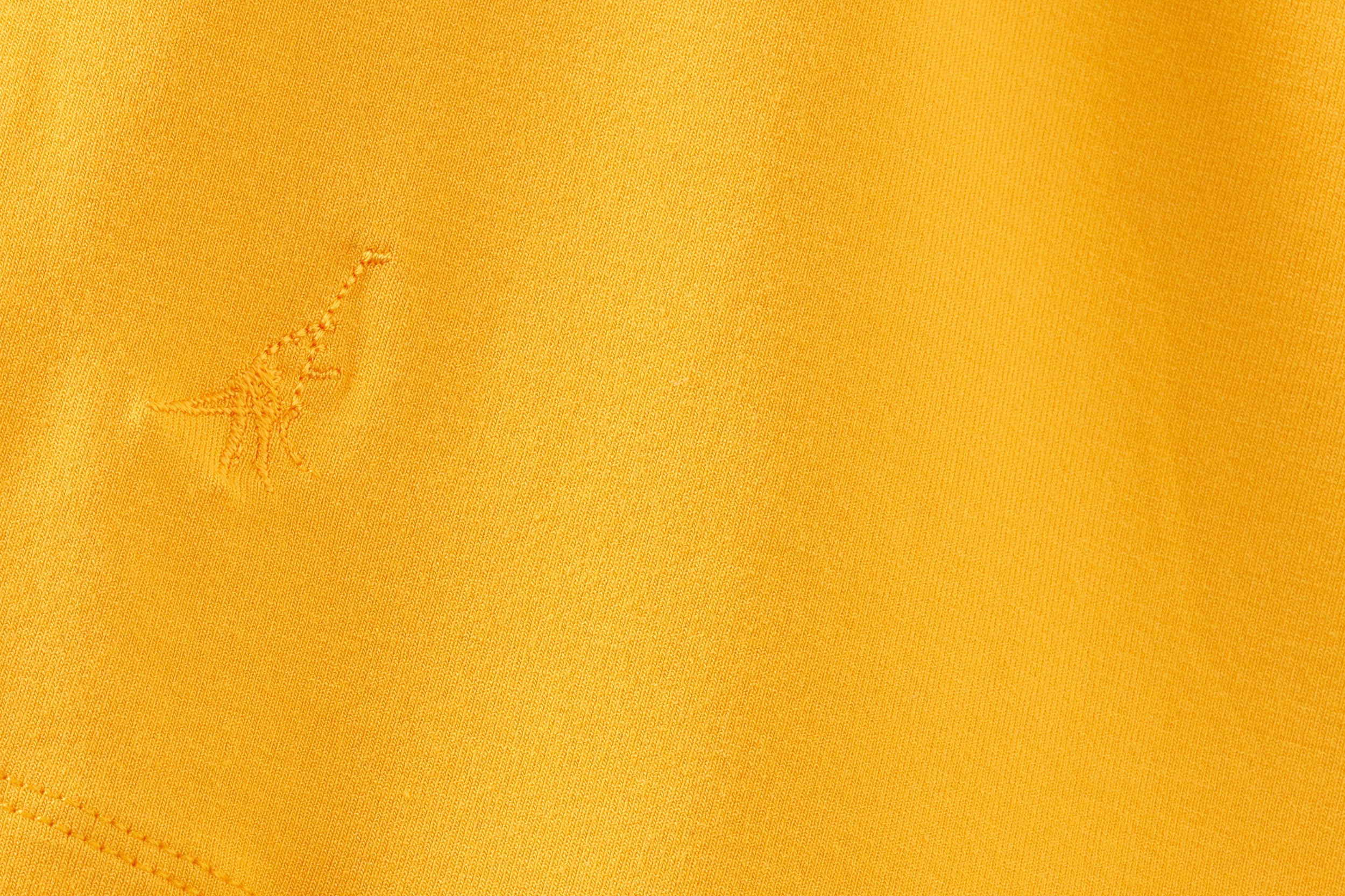Bumble Bee Yellow