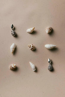 Nassa Earrings | Silver