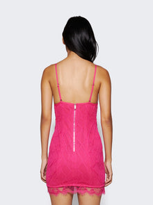 Women | Dion Lee | Oblique Lace Corset Dress | Candy Pink