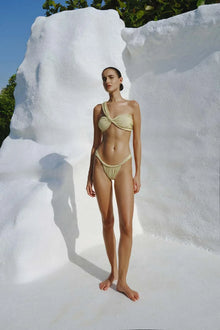 Gaba Bikini Bottom | Scallop