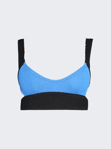 Women | Bond-Eye | Splice Nino Crop Bikini Top Cobalt And Black | Blue