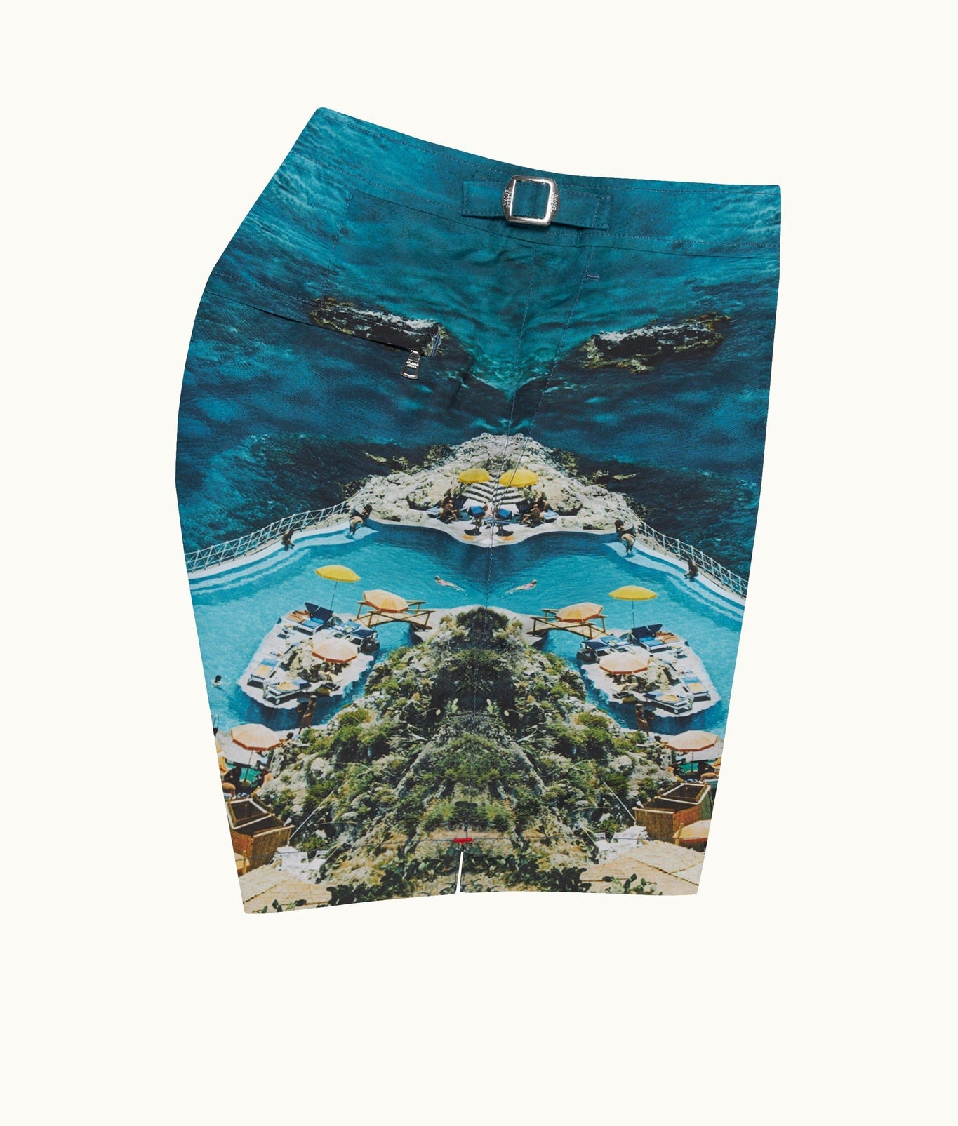Bulldog Photographic Print Mid-Length Swim Shorts | Seaside Swimming