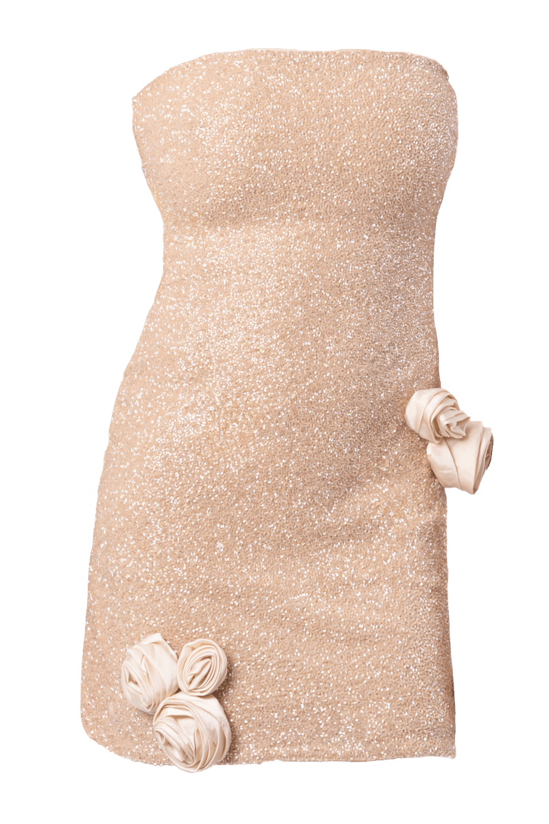 Champagne Rose Hand - Beaded Embellished Mini Dress - Self - Adore
