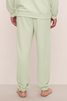 Model is wearing Mens French Terry Jogger in Matcha