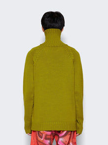 Men | Casella Meyer | Wool Sweater | Green