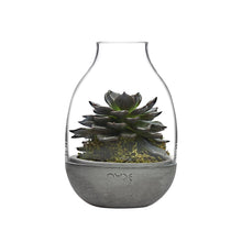 Eden Terrarium With Moulded Concrete Base - Mini | Clear Crystal/Conrete