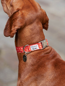 Pet | Dog Collar | Red