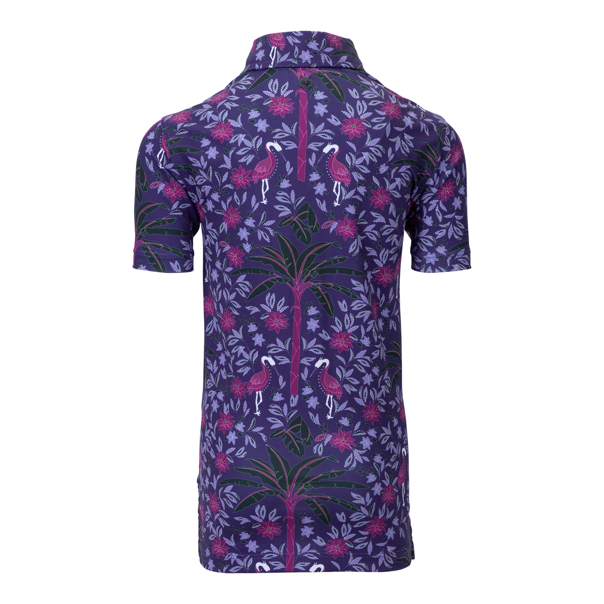 Boy | Palma Polo | Night Fall