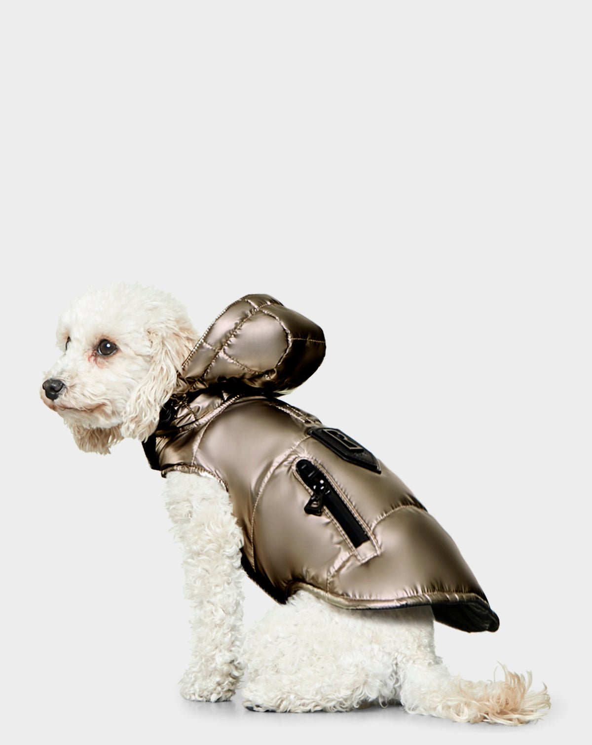 Women | Buddie - 9122520 | Metallic Chocolate
