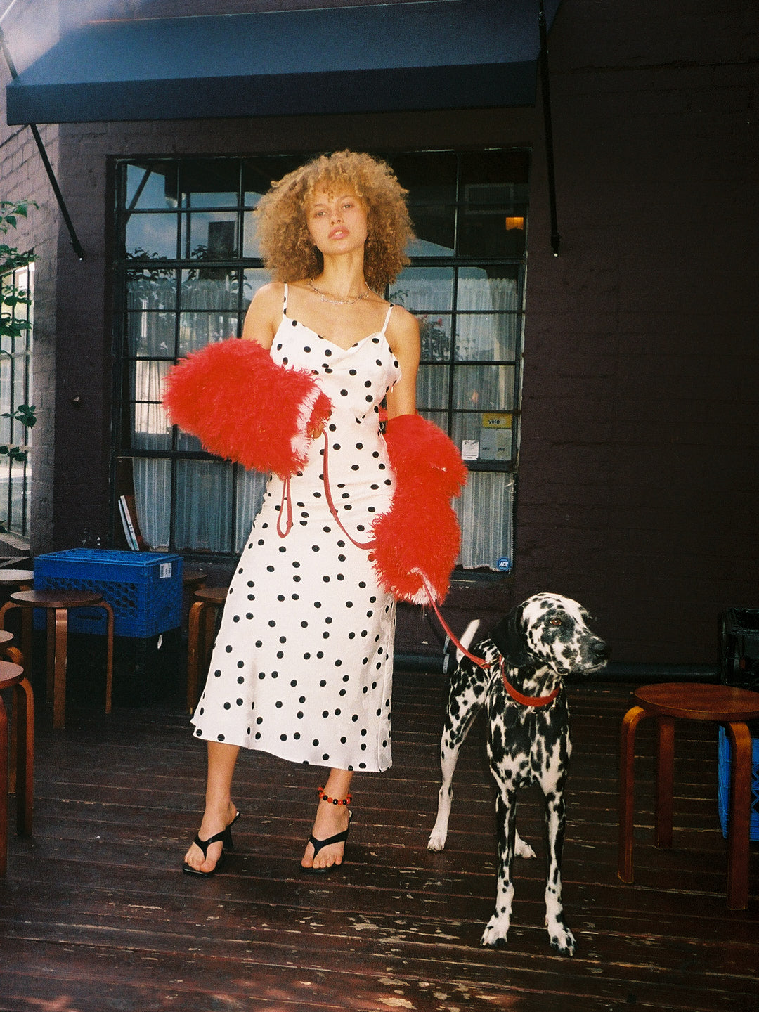 Griffin Dress | White Dot