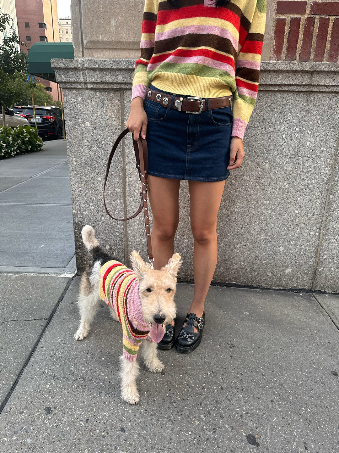Dog Sweater | Pink Stripe