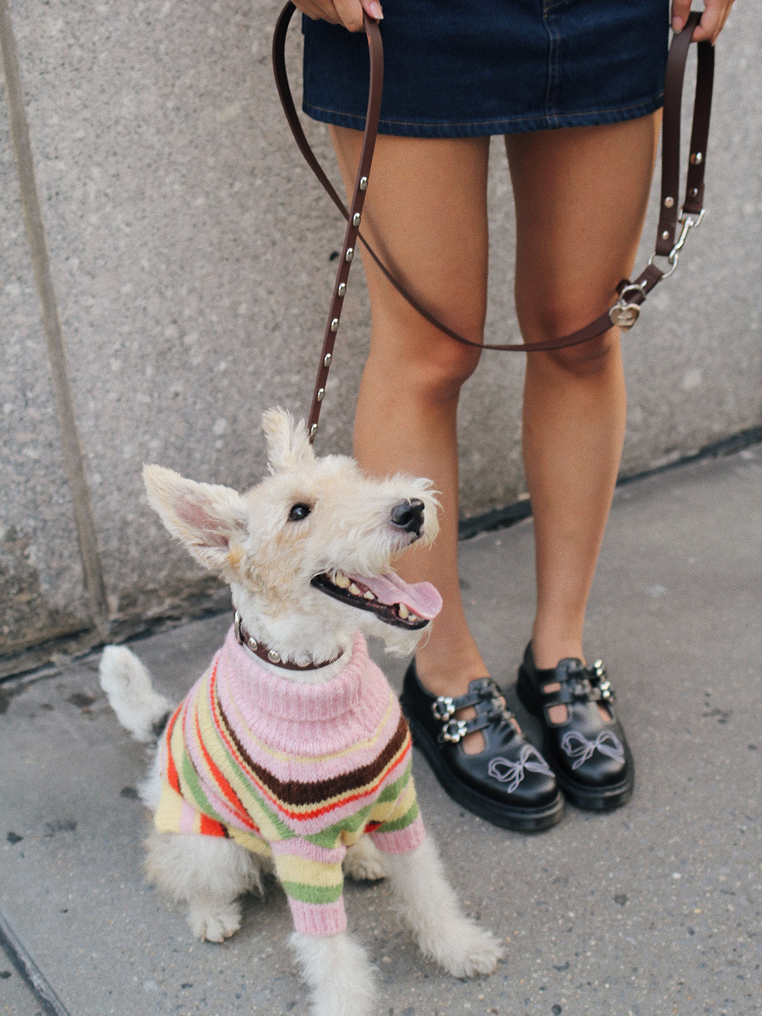 Dog Sweater | Pink Stripe