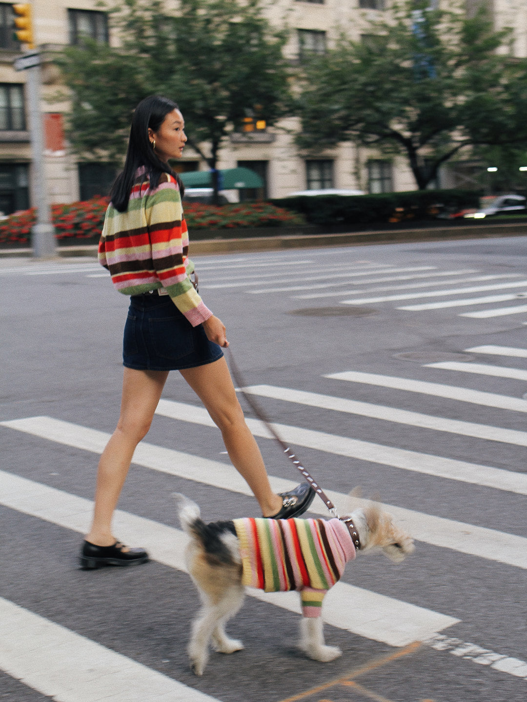 Dog Sweater | Pink Stripe