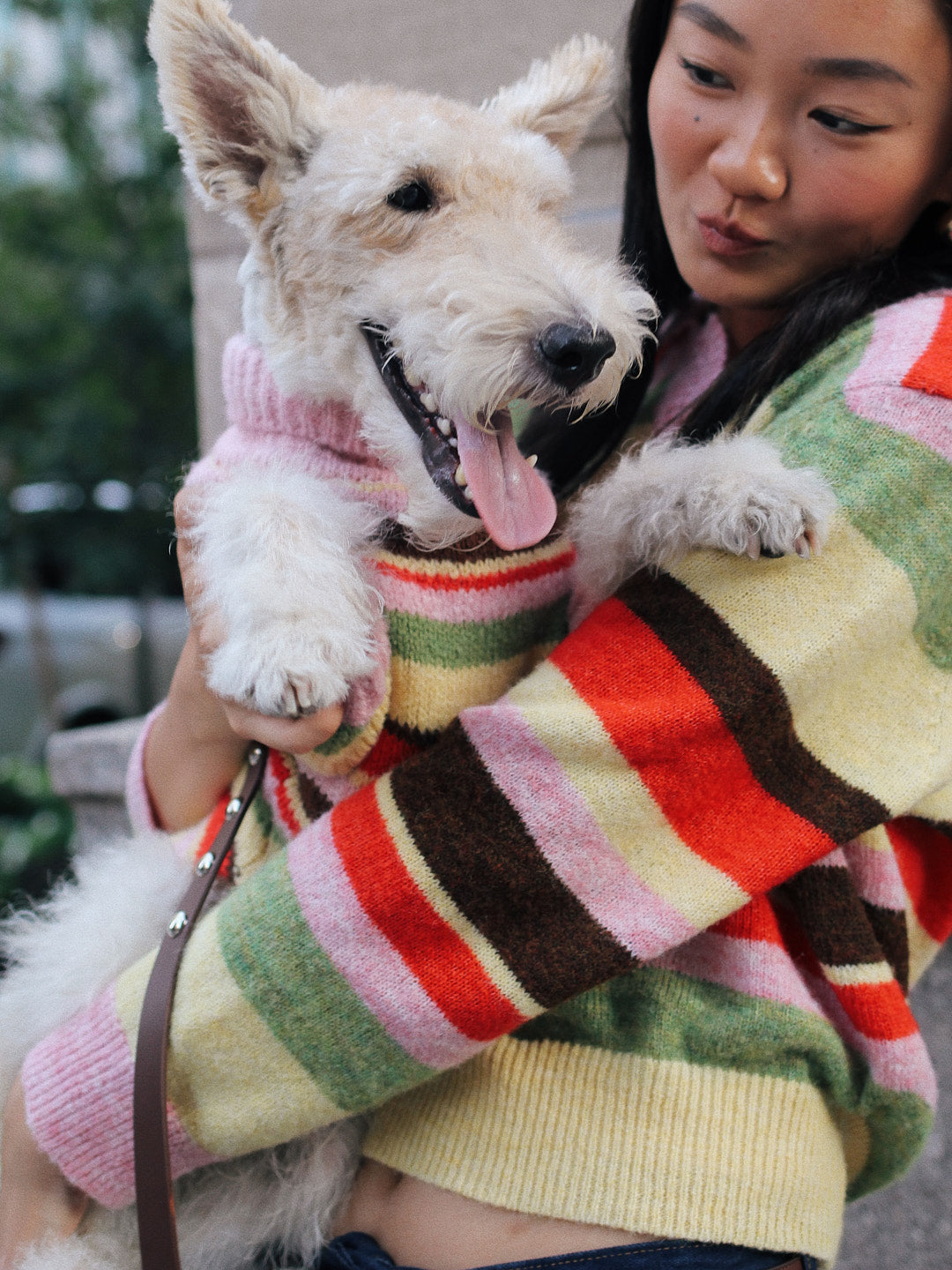 Dog Sweater | Pink Stripe
