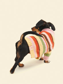 Dog Sweater | Pink Stripe